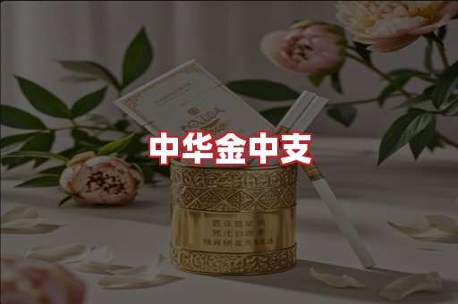 中华金中支